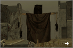 Pathologic screenshot